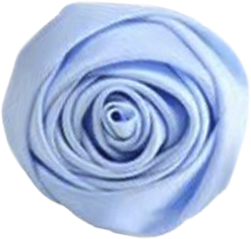La Mia Rosa